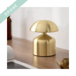 petite lampe champignon dorée touch